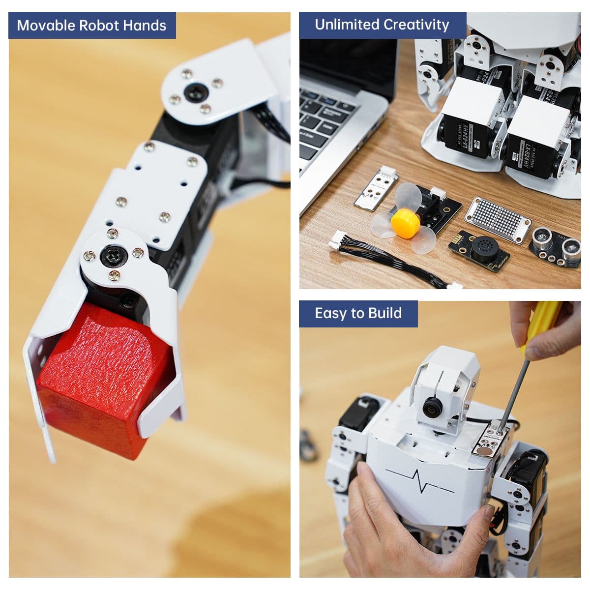 Hiwonder TonyPi Pro 4