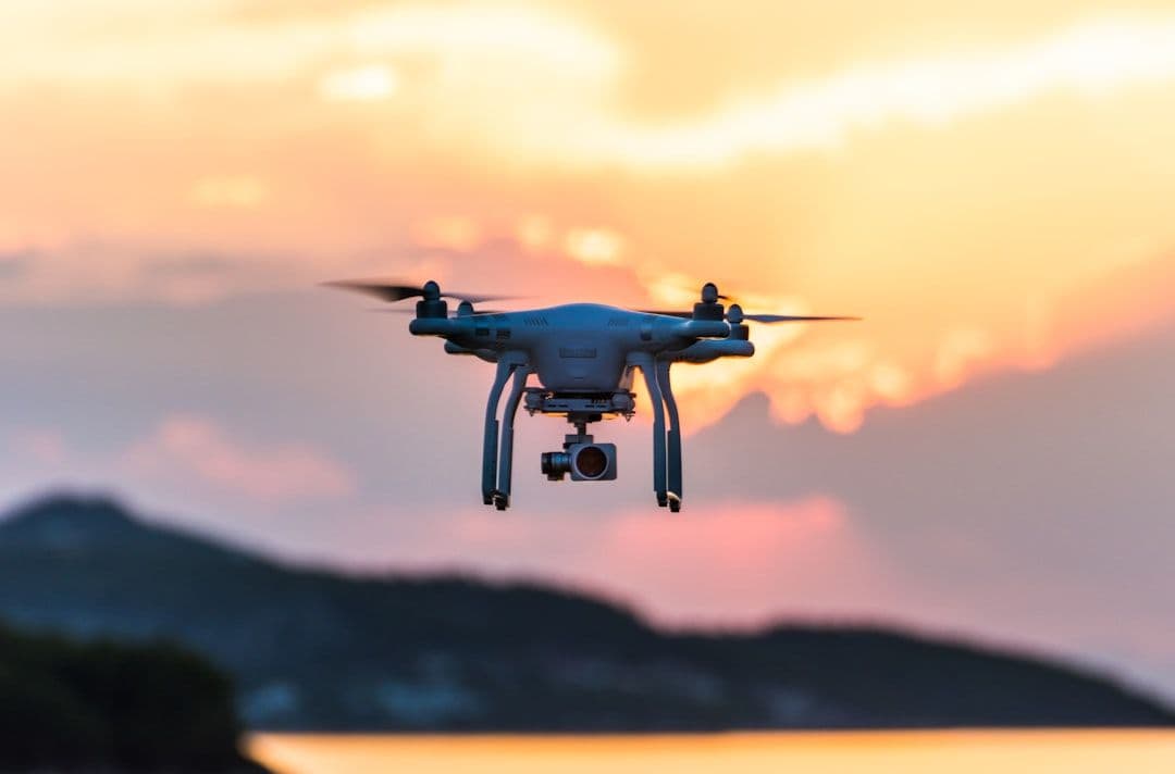 DJI Flip